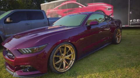 1995 Ford Taurus - A maroon Ford Mustang with gold rims is parked on a grassy field next to a pickup truck and a trailer with a red car graphic.