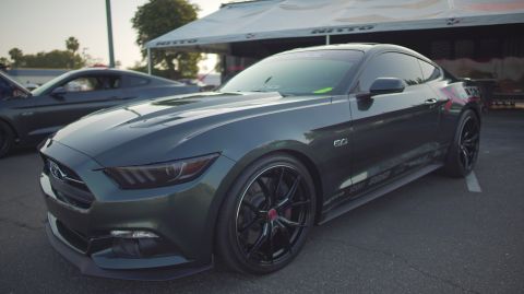 1995 Ford Taurus - A dark green Ford Mustang is parked next to another Mustang under a tent.