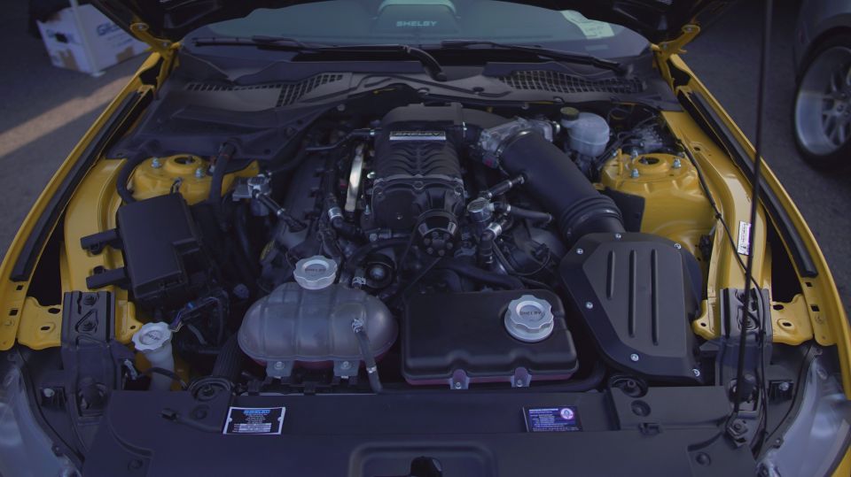 Yellow engine bay with a supercharger and black intake. Shelby branding visible