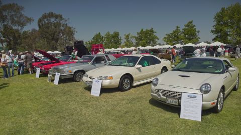1995 Ford Taurus - A row of classic cars are displayed on a grassy field under a clear blue sky.