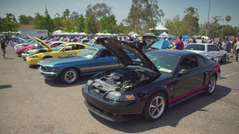 1995 Ford Taurus - A black Ford Mustang is displayed with its hood open at a car show, revealing the engine.