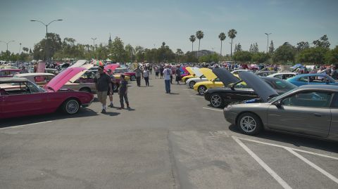1995 Ford Taurus - Cars of various makes and models are displayed with their hoods open at a sunny outdoor event.