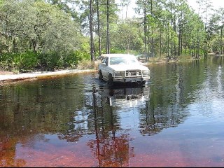 1994 Ford Bronco - A white SUV navigates a shallow body of water surrounded by trees, with its reflection visible on the surface.