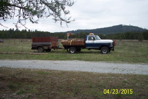 1973 Ford F-250 - A blue and white 1973 Ford F-250 pickup truck is seen from the side, towing a trailer filled with lumber in a rural setting.