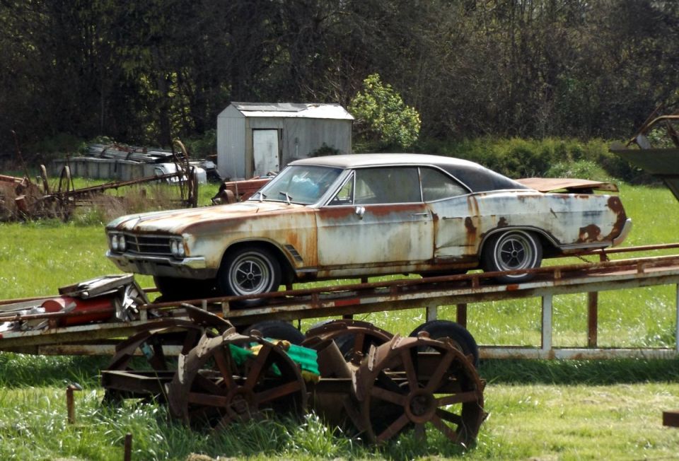Rusty white 1966 Buick Skylark coupe on a trailer, side view