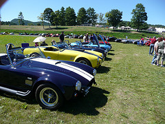 1900 Ford Mustang II - Several Shelby Cobra replicas are lined up on a grassy field under a clear blue sky, with spectators milling about.
