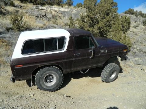 1979 Ford Bronco - This 1979 Ford Bronco is shown in a three-quarter front view, equipped with off-road tires and a white camper shell.