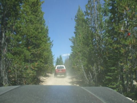 1979 Ford Bronco - Two vehicles on a dirt road surrounded by pine trees under a clear blue sky.