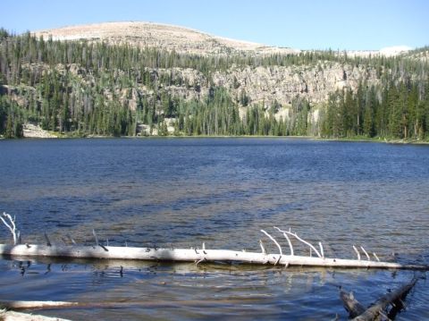 1979 Ford Bronco - A mountain lake scene with a dead tree floating in the water.