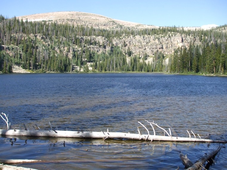 Lake with fallen tree in foreground, backed by forested cliffs and a mountain peak