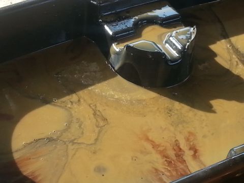 1996 Ford Bronco - A close-up view of an oil pan filled with dirty, discolored oil, showing signs of contamination.