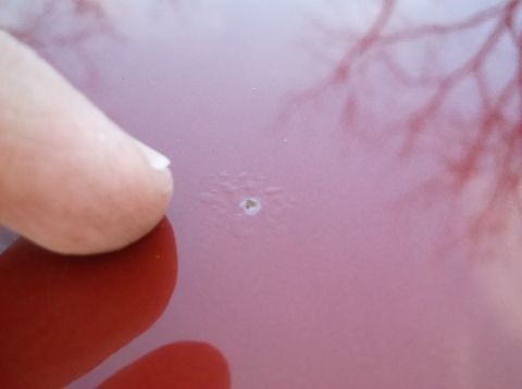 1999 Mercury Grand Marquis - A finger points to a small paint chip on the red exterior of a vehicle.