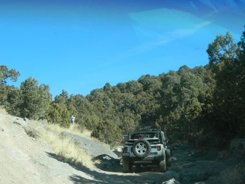 1979 Ford Bronco - A Jeep navigates a rough, unpaved trail through a wooded, hilly area under a clear blue sky.