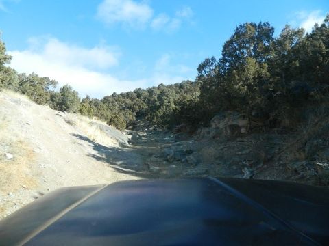 1979 Ford Bronco - Driving up a rough, rocky path surrounded by trees under a partly cloudy sky.