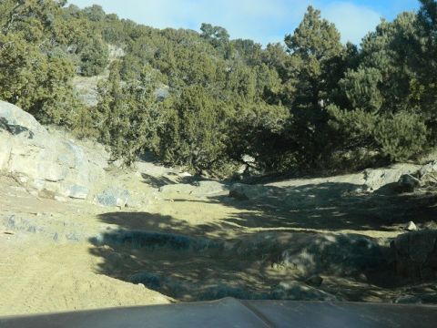 1979 Ford Bronco - View from inside a vehicle looking out at a rocky, wooded off-road trail.