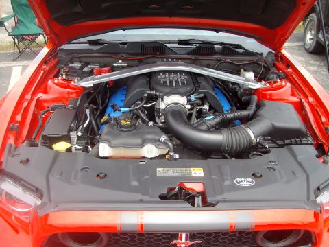 2004 Ford Crown Victoria - Engine bay of a red Ford Mustang, showing the V8 engine and various components.