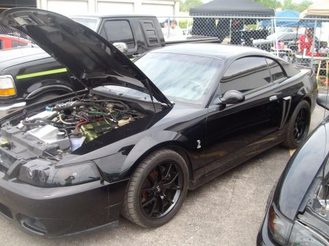 2004 Ford Crown Victoria - Black Ford Mustang with hood up, parked outdoors at an event with other vehicles present.