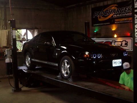 2004 Ford Crown Victoria - Black Ford Mustang on a lift in a garage, with "ProCharger Racing" banner visible.