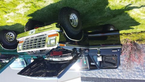 1995 Ford Bronco - Black 1977 Ford F-150 pickup truck, hood up, parked on grass next to another vehicle.