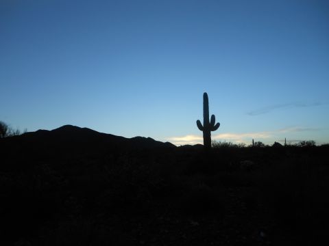 1995 Ford Bronco - A solitary saguaro cactus stands silhouetted against the twilight sky in a desert landscape.