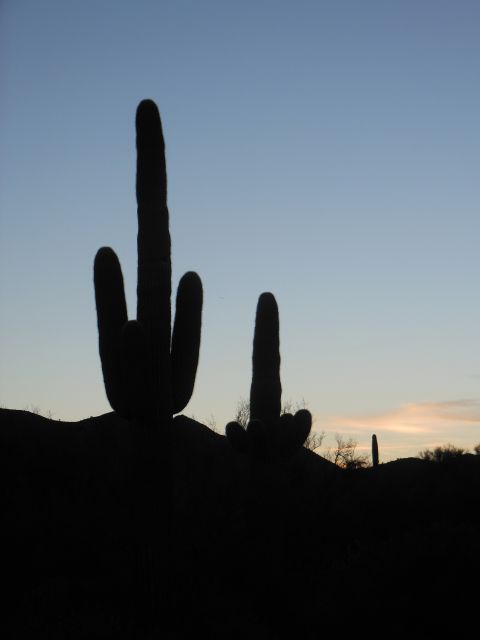 1995 Ford Bronco - Silhouettes of saguaro cacti stand against the fading light of the desert sky.
