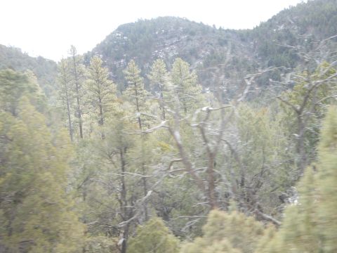 1995 Ford Bronco - A view of a wooded mountainside with a watermark at the bottom right.