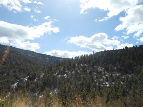 1995 Ford Bronco - A scenic view of a mountainous region covered in pine trees, with a bright sky and clouds overhead.