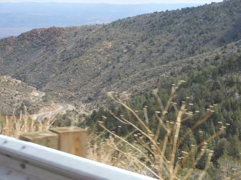 1995 Ford Bronco - A scenic view of a winding road through a mountainous landscape, with trees and scrub brush covering the hillsides.