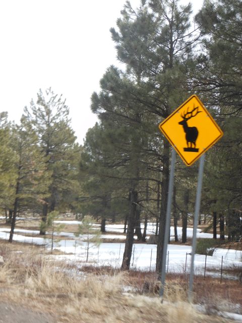 1995 Ford Bronco - A deer crossing sign warns drivers of potential wildlife in a snowy forest landscape.