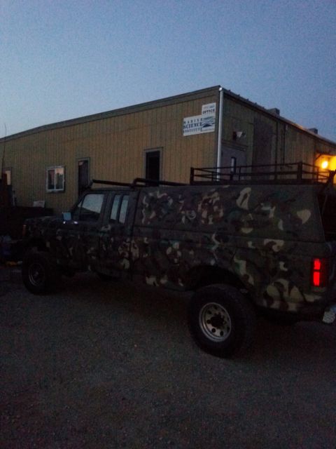 1991 Ford Bronco - A camouflaged pickup truck with a camper shell is parked outside a building at dusk.