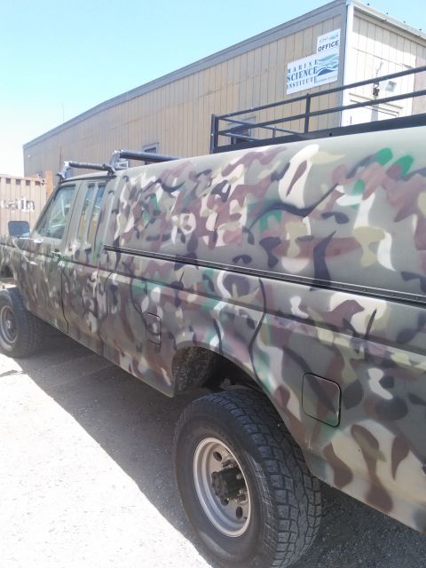 1991 Ford Bronco - This Ford F-Series truck, likely from the early 1990s, is covered in camouflage paint and fitted with a camper shell.