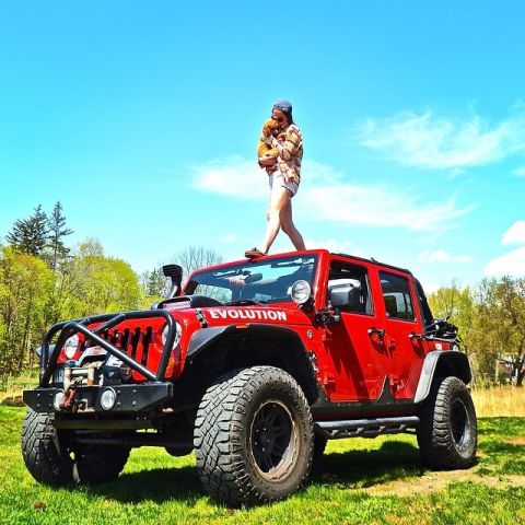 1979 Ford Bronco - A person stands on the roof of a red Jeep Wrangler, holding a dog, in a grassy field under a blue sky.