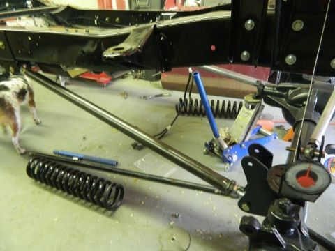 1979 Ford Bronco - Close-up view of vehicle frame and suspension components, including springs and a jack, with a dog visible in the background.