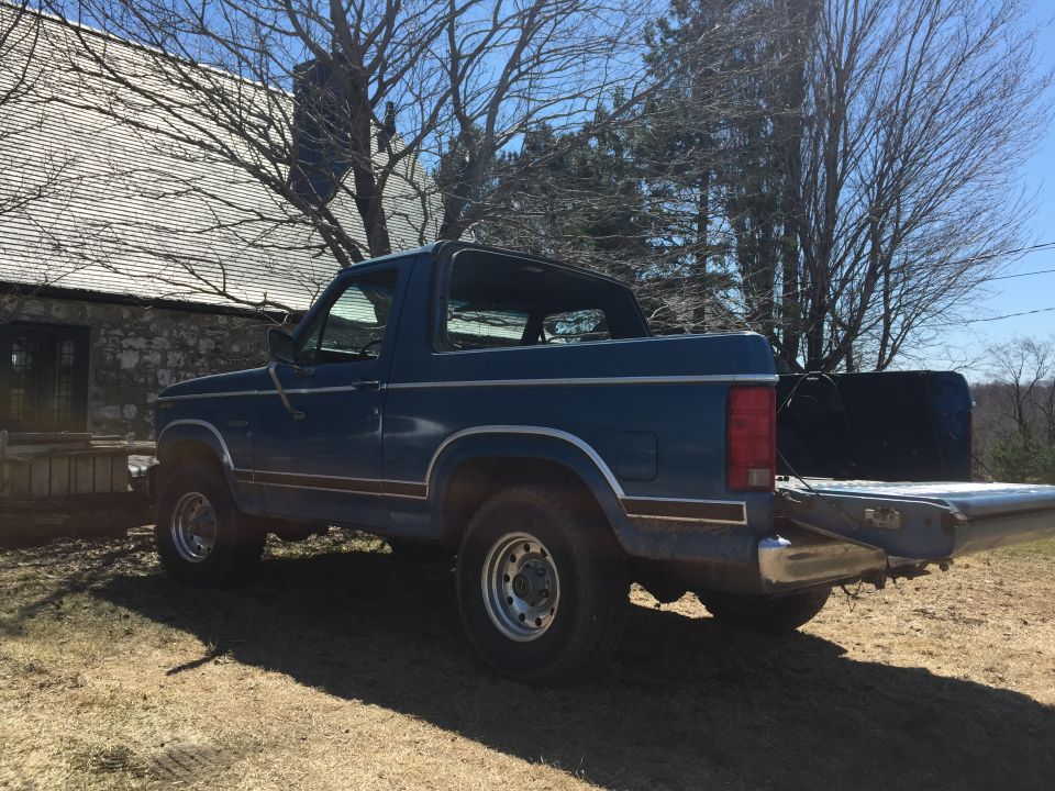 Blue Ford Bronco with removable top, seen from the rear 3/4 angle. The tailgate is down