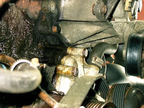 1992 Ford F-150 - Close-up view of an engine component showing an oil leak and associated pulleys and belts.