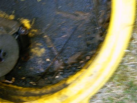 1992 Ford F-150 - A smog pump component is visible, covered in dirt and debris, with a yellow housing.