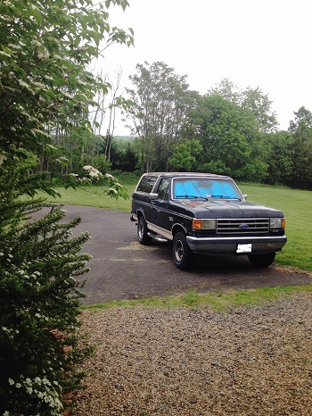 1989 Ford Bronco “Dixieland Delight”