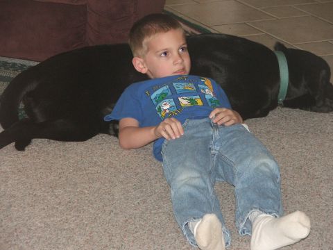 1965 Ford Mustang - A boy and his dog relax indoors on a carpeted floor.
