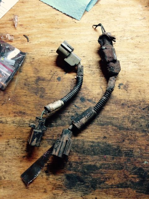 1995 Ford Bronco - Two electrical connectors and wiring harnesses, possibly from a Ford vehicle, lie on a wooden surface.