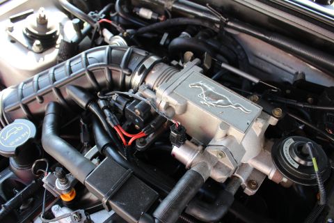 2002 Ford Mustang - The engine bay of a Ford Mustang, the iconic running horse emblem on the throttle body. This appears to be from the 1996 model year.