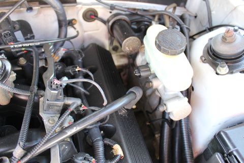 2002 Ford Mustang - Engine bay components including brake fluid reservoir and various hoses and wiring.