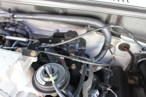 2002 Ford Mustang - Close-up view of engine bay components, including hoses and wiring harnesses.