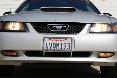 2002 Ford Mustang - Silver Ford Mustang with honeycomb grille and running horse emblem is shown from the front.