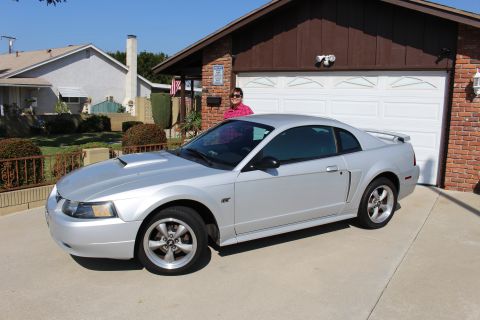 2002 Ford Mustang - Silver 2002 Ford Mustang coupe with a hood scoop and GT badging is parked in front of a suburban garage.