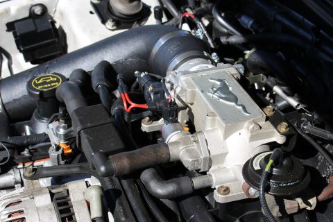 2002 Ford Mustang - Close-up of the 2002 Ford Mustang engine intake manifold, showing the iconic running horse emblem.