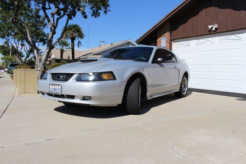 2002 Ford Mustang - A silver 2002 Ford Mustang is parked in a driveway in front of a closed garage door.