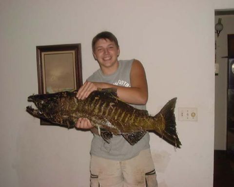 1985 Ford F-150 - A person proudly displays a large catch inside a room, with a framed picture on the wall.