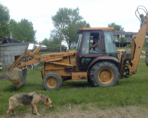 1985 Ford F-150 - A yellow backhoe loader is parked on a grassy area with a dog nearby. A person is visible in the driver's seat.
