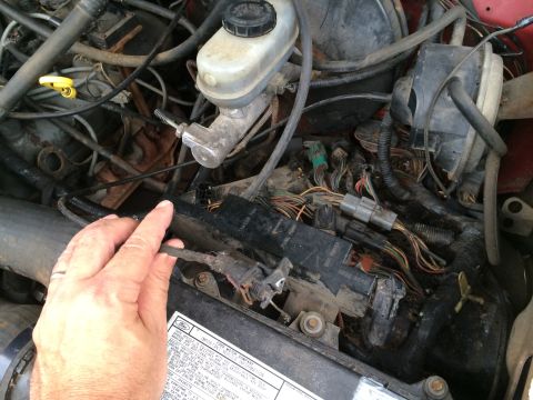 1989 Ford Bronco - Engine bay details with brake fluid reservoir and exposed wiring harness.