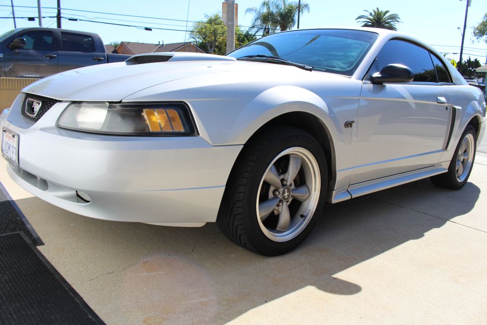2002 Ford Mustang “EVIL PNY”
